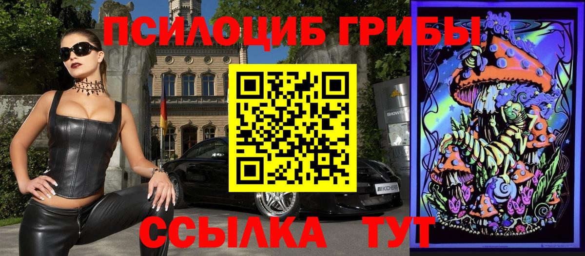 Псилоцибиновые грибы Magic Shrooms  сколько стоит  Рязань  Псилоцибиновые грибы прущие грибы  Вход с VPN 