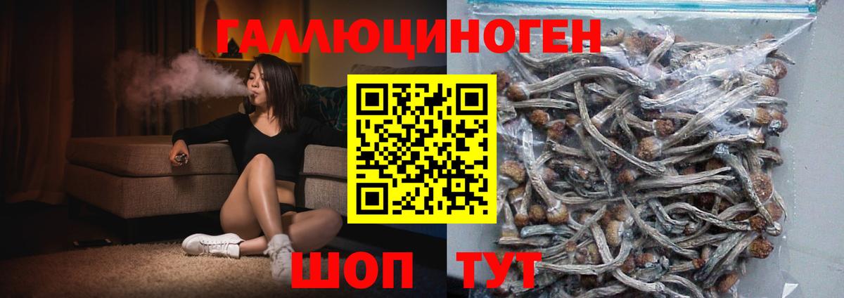 Галлюциногенные грибы мухоморы Рязань